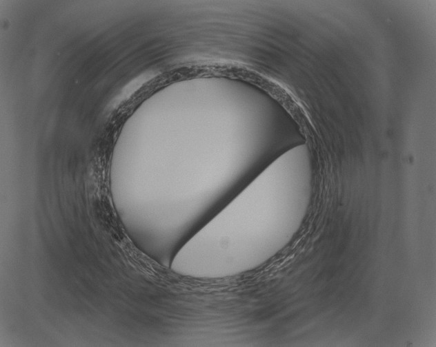 X0000085240871200703090919