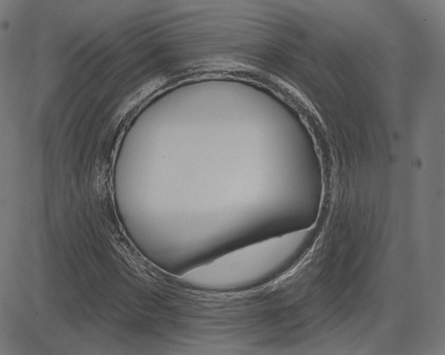 X0000085240873200703090919
