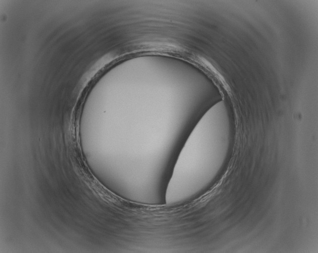 X0000085240883200703090919