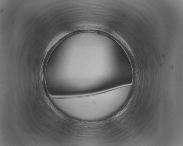 X0000085240885200703090919