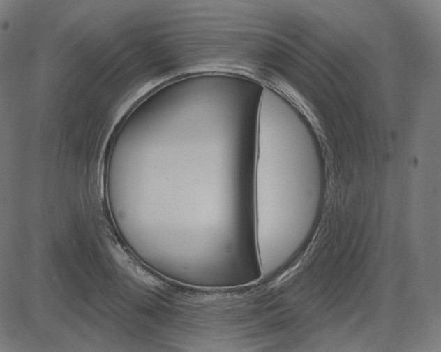 X0000085240892200703090919