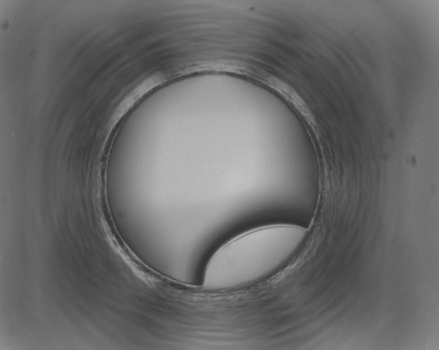 X0000085240898200703090919