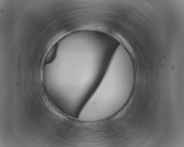 X0000085240900200703090919