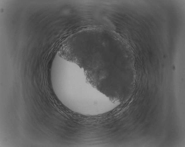 X0000085240913200703090918