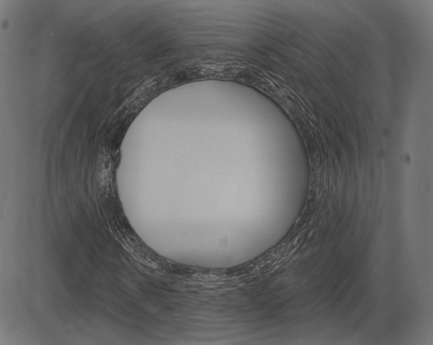 X0000085240914200703090918