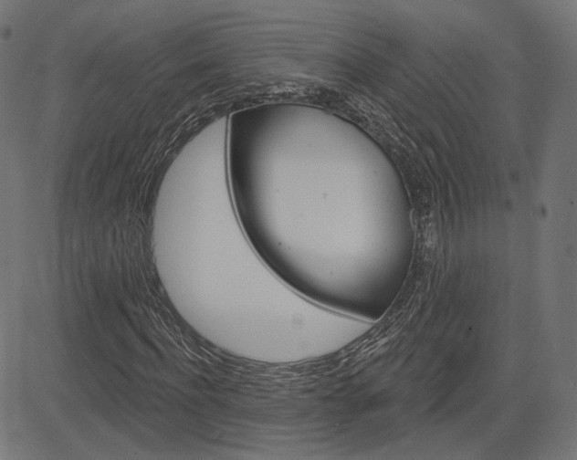 X0000085240916200703090918