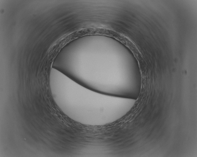 X0000085240919200703090918