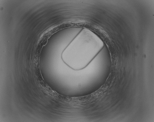 X0000085240920200703090918