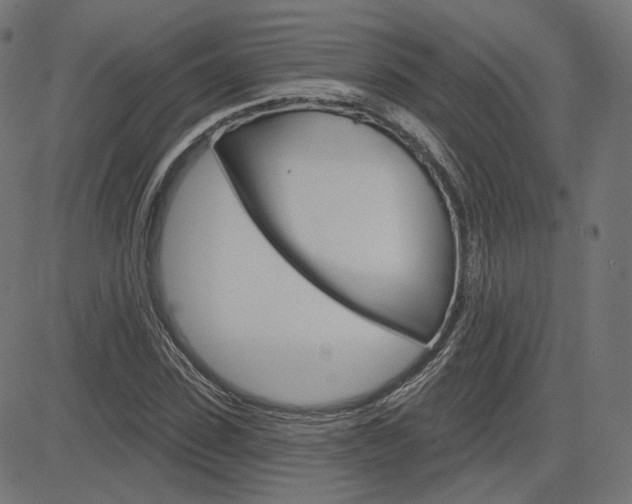 X0000085240923200703090918