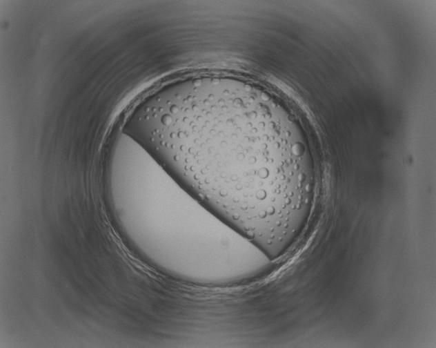 X0000085240925200703090918