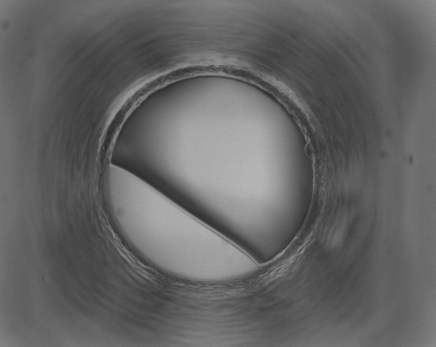 X0000085240927200703090918