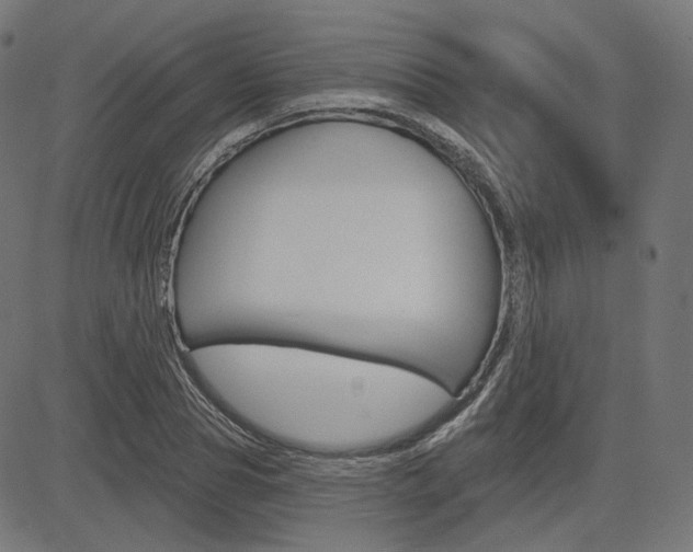 X0000085240929200703090918