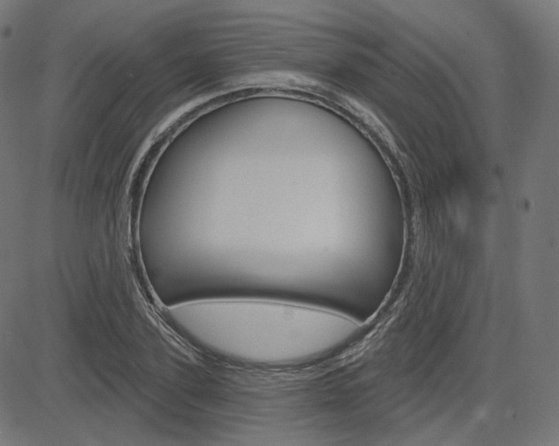 X0000085240931200703090918