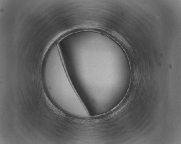 X0000085240934200703090918