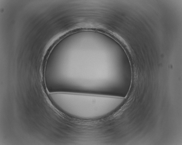 X0000085240935200703090918