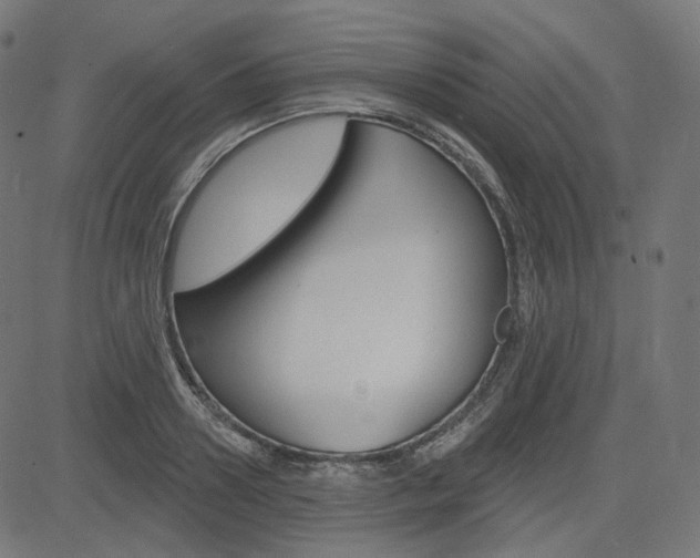 X0000085240938200703090918