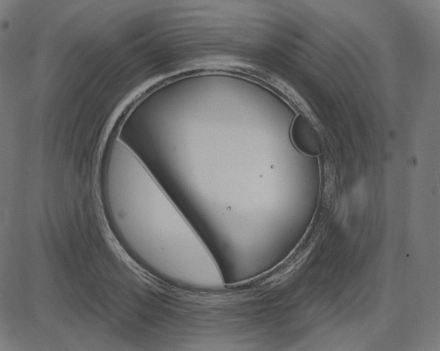 X0000085240939200703090918