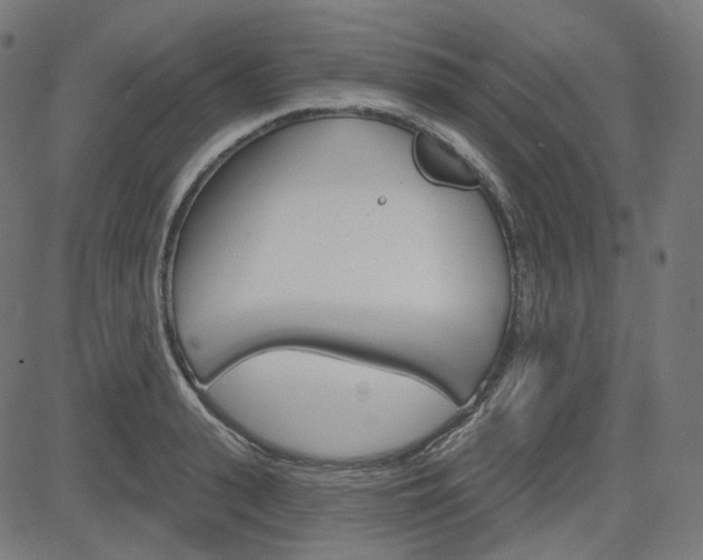 X0000085240943200703090918
