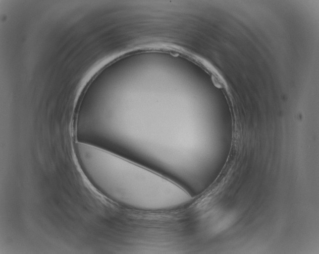 X0000085240951200703090919