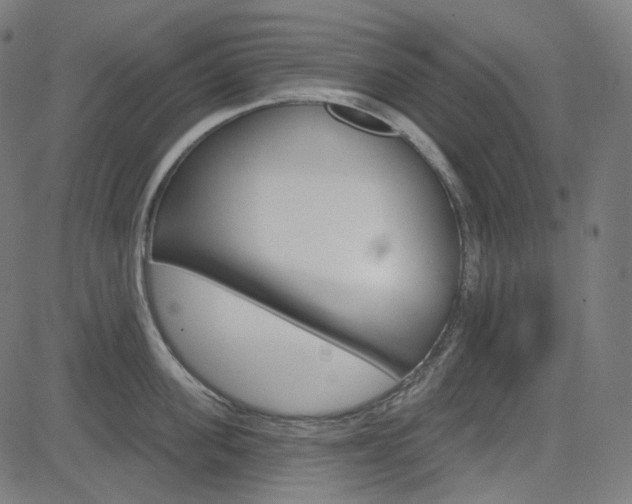 X0000085240955200703090919