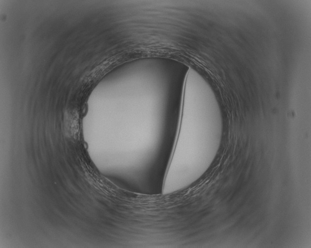 X0000085240963200703090918