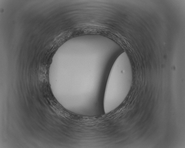 X0000085240964200703090918