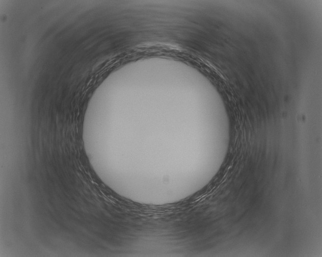 X0000085240965200703090918