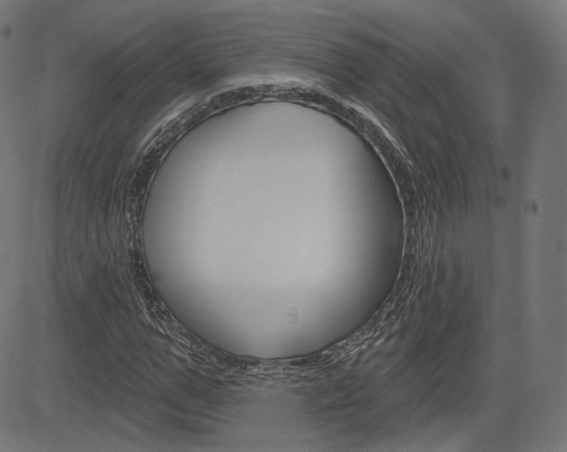 X0000085240967200703090918