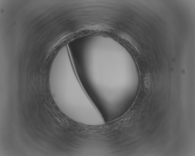 X0000085240968200703090918