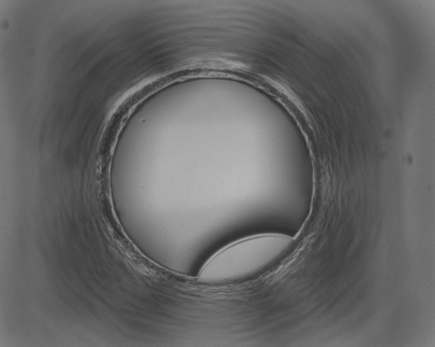 X0000085240971200703090918