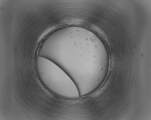 X0000085240978200703090918