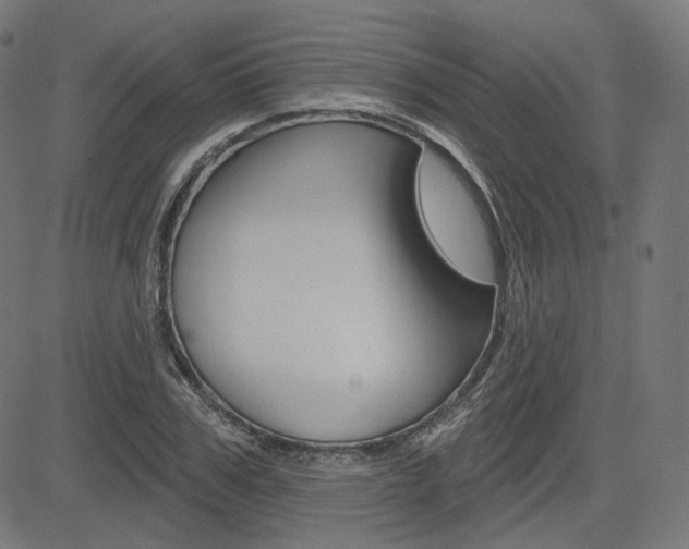 X0000085240979200703090918