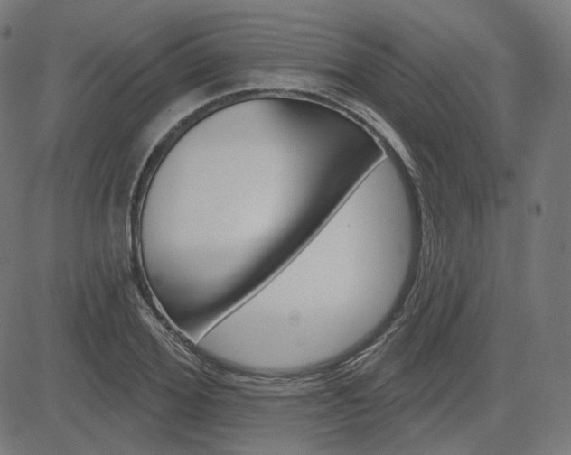 X0000085240980200703090918
