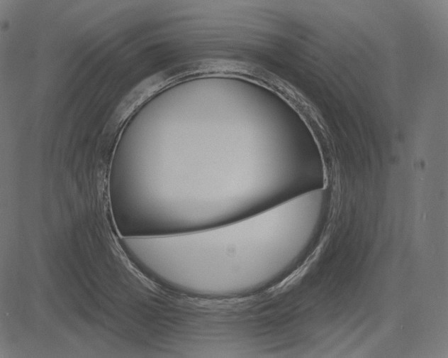 X0000085240985200703090918