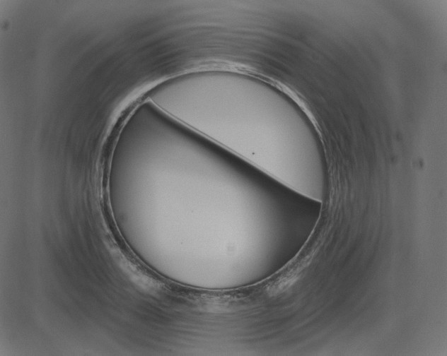 X0000085240987200703090918