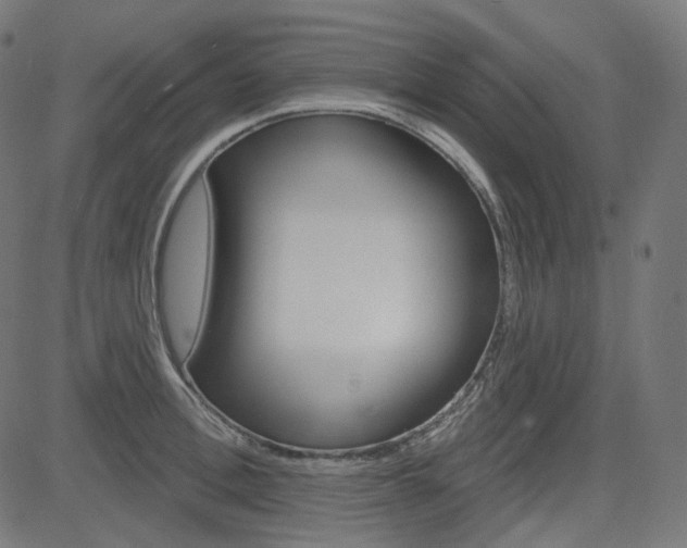 X0000085240996200703090917