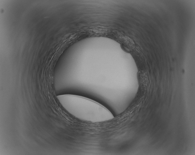 X0000085241009200703090916