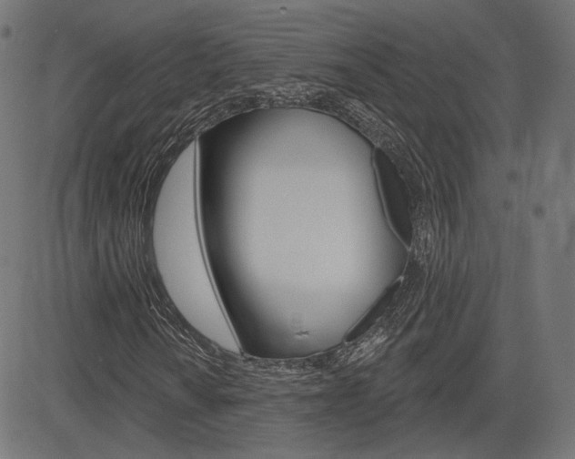 X0000085241010200703090916