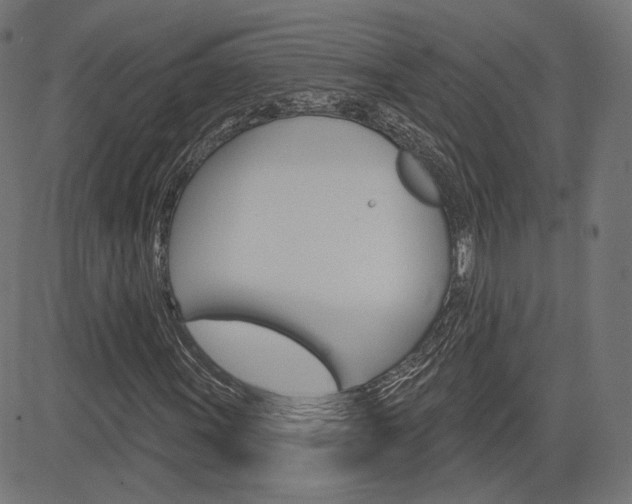X0000085241011200703090916