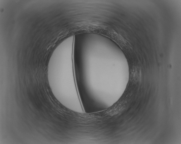 X0000085241012200703090916