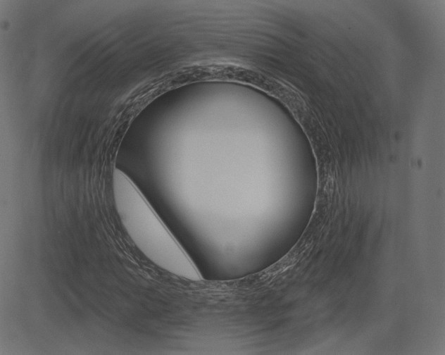 X0000085241014200703090916