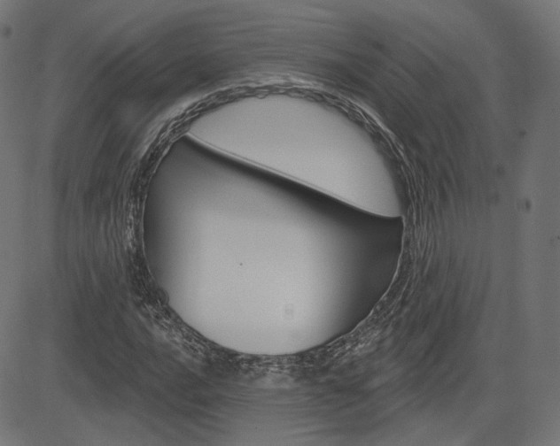 X0000085241016200703090916