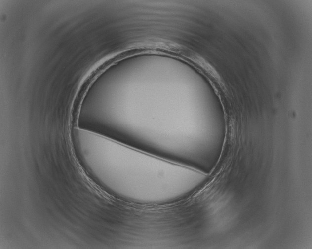 X0000085241020200703090917