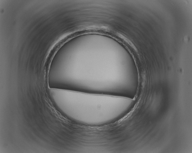 X0000085241021200703090917