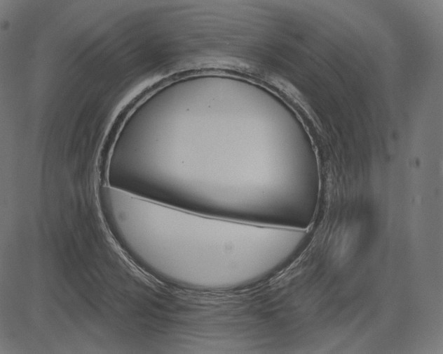 X0000085241024200703090917