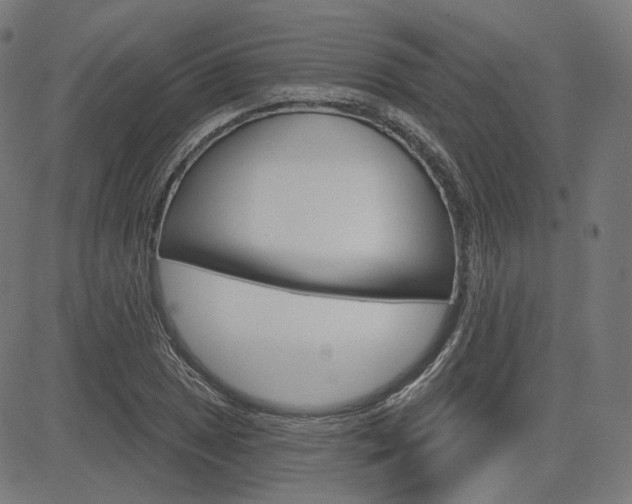 X0000085241025200703090917