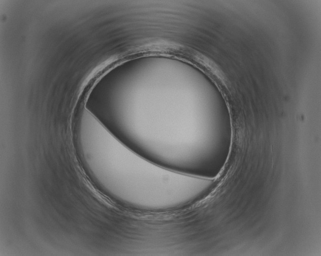 X0000085241026200703090917