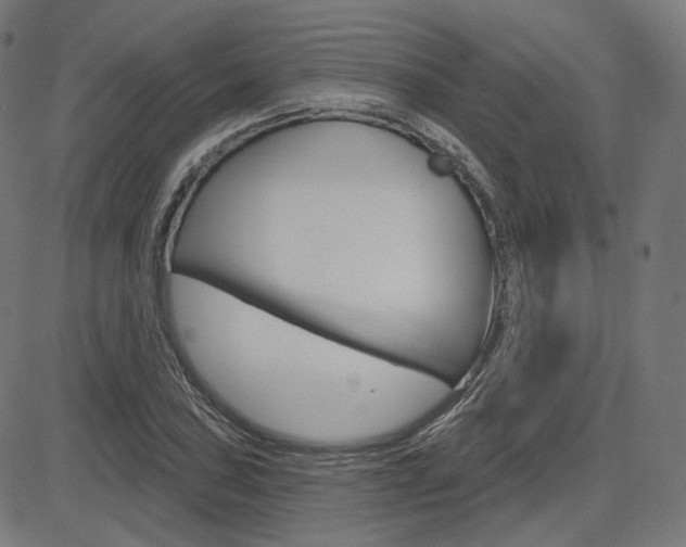 X0000085241027200703090917