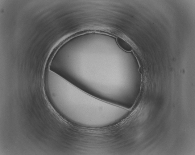 X0000085241028200703090917