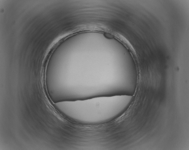 X0000085241035200703090917